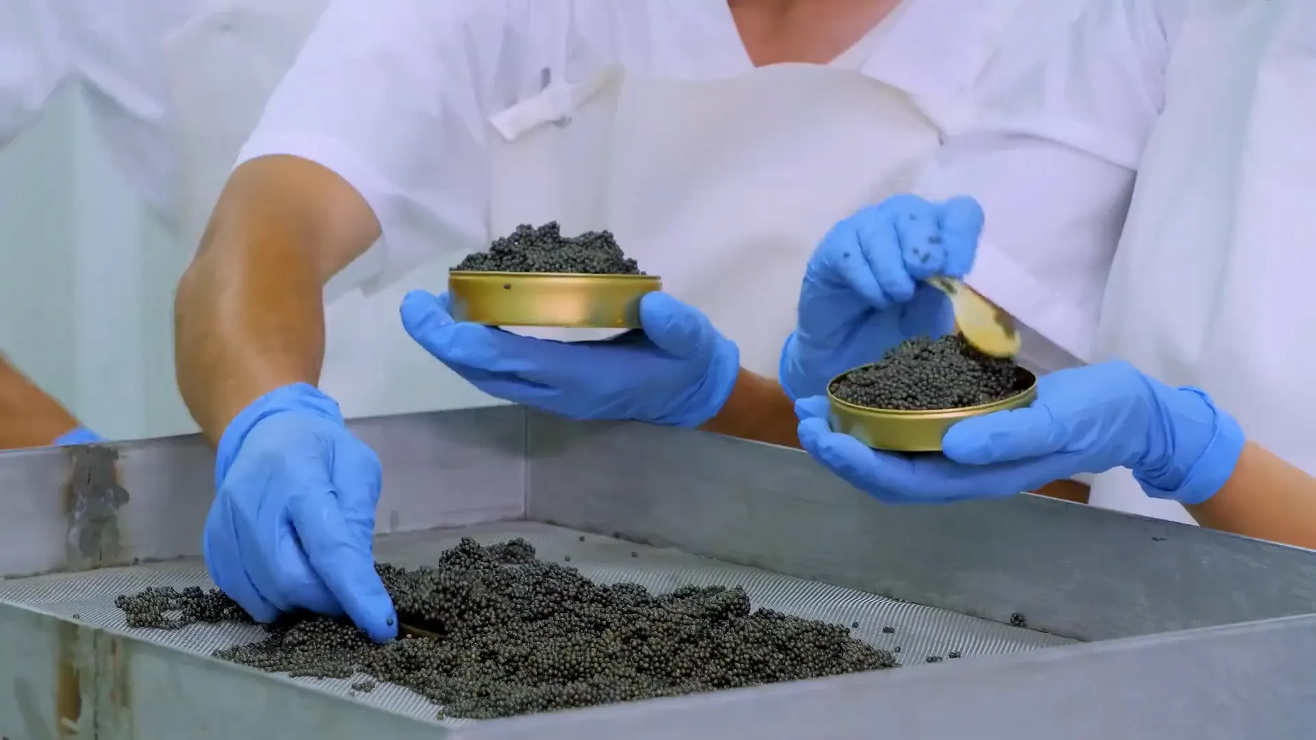 Photographie issue du film de production : remplissage des boîtes de caviar à l'atelier