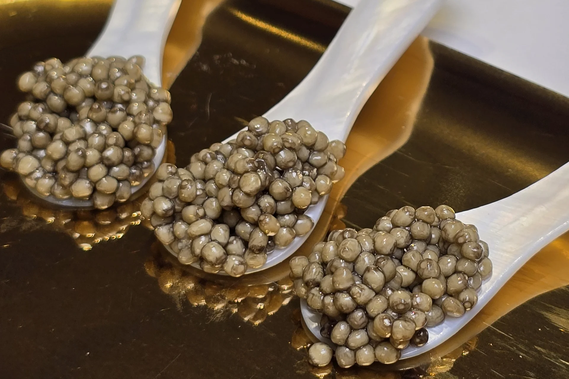 Photographie réelle : caviar Royal Reserve servi sur cuillères en nacre
